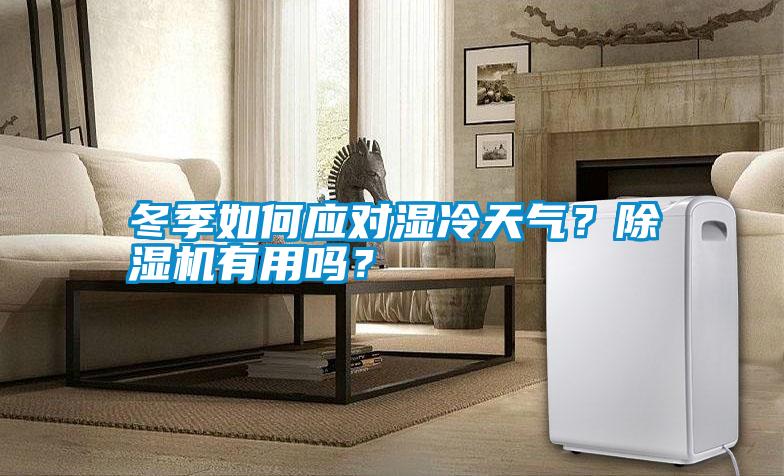冬季如何應(yīng)對濕冷天氣?除濕機有用嗎?
