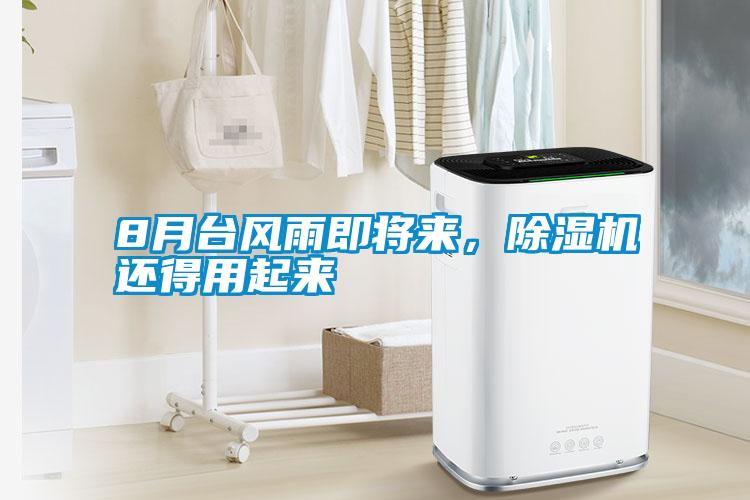 8月臺(tái)風(fēng)雨即將來(lái)，除濕機(jī)還得用起來(lái)
