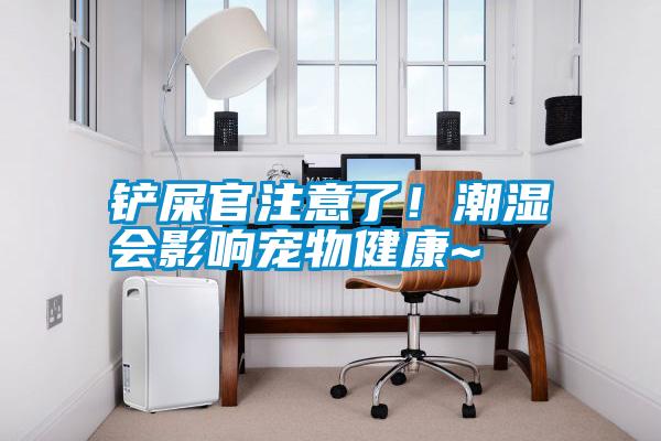 鏟屎官注意了!潮濕會影響寵物健康~