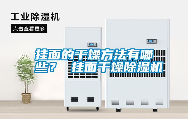 掛面的干燥方法有哪些? 掛面干燥除濕機(jī)