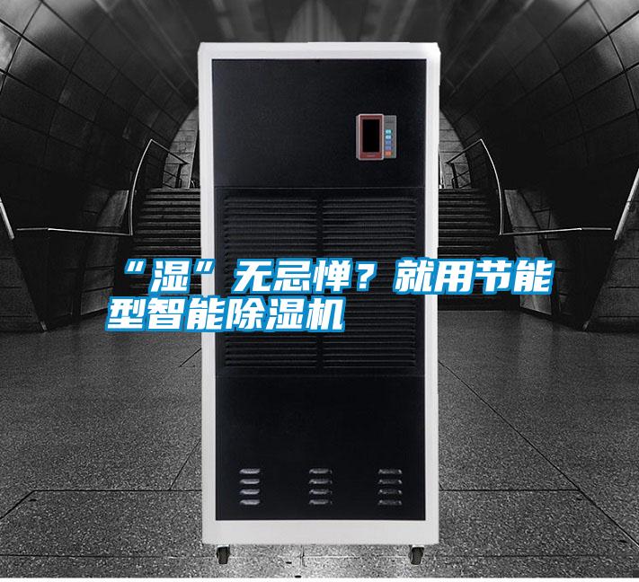 “濕”無忌憚？就用節能型智能除濕機