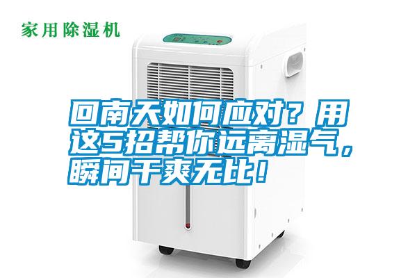 回南天如何應對？用這5招幫你遠離濕氣，瞬間干爽無比！