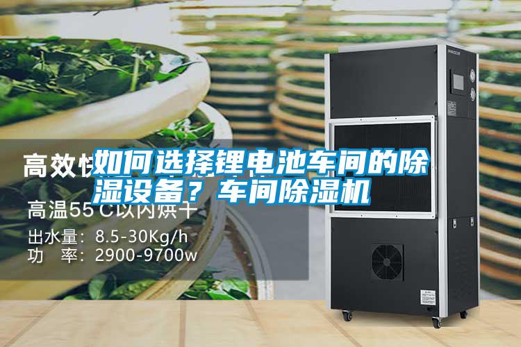 如何選擇鋰電池車間的除濕設(shè)備？車間除濕機