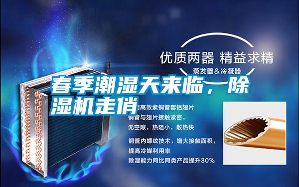 春季潮濕天來臨,除濕機走俏