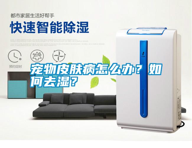 寵物皮膚病怎么辦？如何去濕？