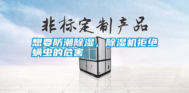 想要防潮除濕，除濕機拒絕螨蟲的危害