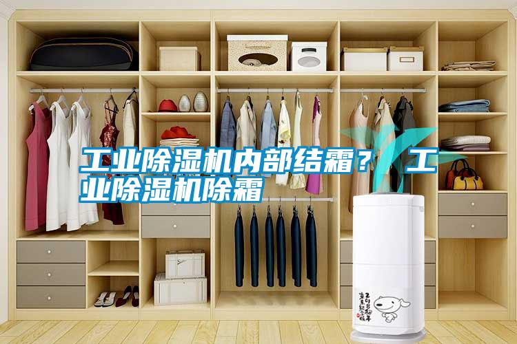 工業(yè)除濕機(jī)內(nèi)部結(jié)霜? 工業(yè)除濕機(jī)除霜