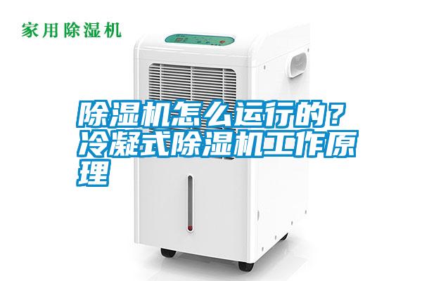 除濕機怎么運行的?冷凝式除濕機工作原理