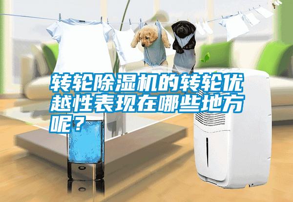 轉輪除濕機的轉輪優越性表現在哪些地方呢？