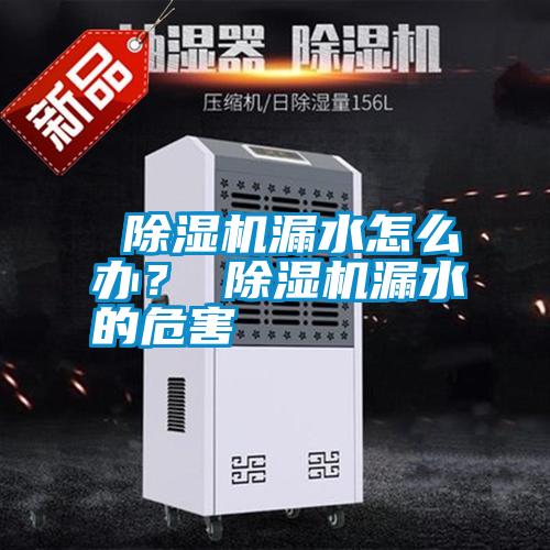 除濕機(jī)漏水怎么辦? 除濕機(jī)漏水的危害