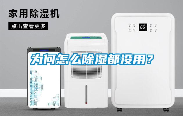 為何怎么除濕都沒用？