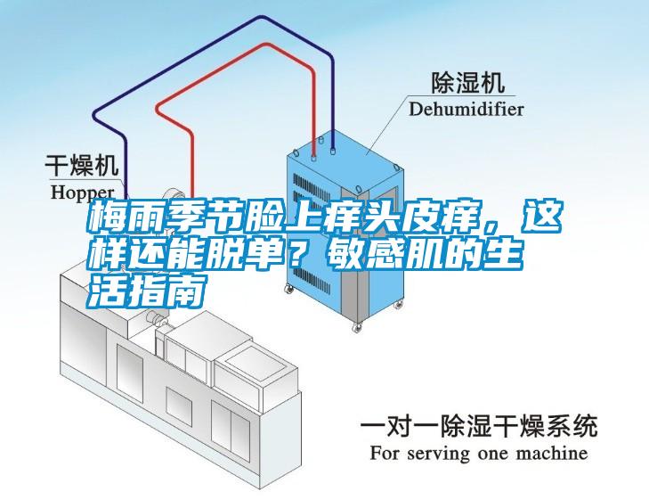 梅雨季節臉上癢頭皮癢，這樣還能脫單？敏感肌的生活指南