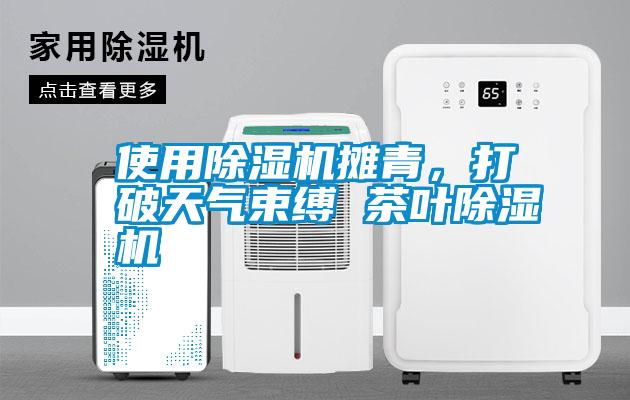 使用除濕機攤青，打破天氣束縛 茶葉除濕機