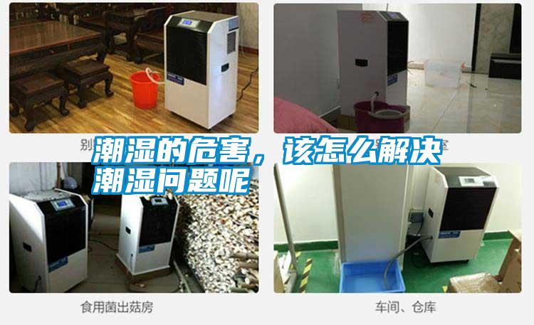 潮濕的危害，該怎么解決潮濕問題呢