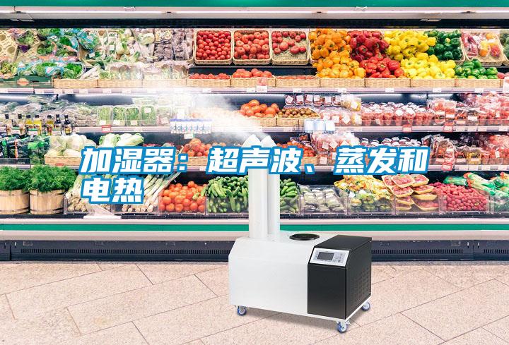 加濕器：超聲波、蒸發和電熱