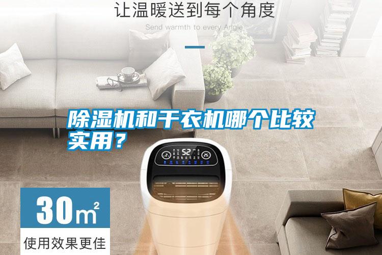 除濕機和干衣機哪個比較實用？