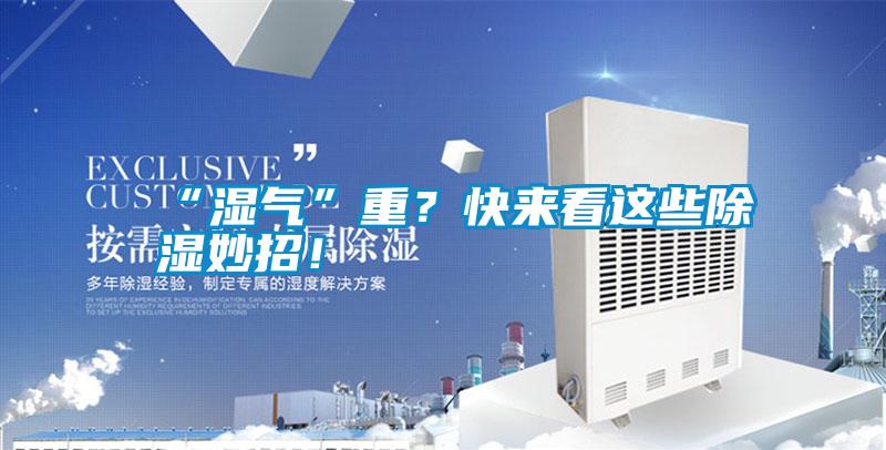 “濕氣”重？快來看這些除濕妙招！