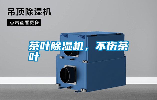 茶葉除濕機(jī)，不傷茶葉