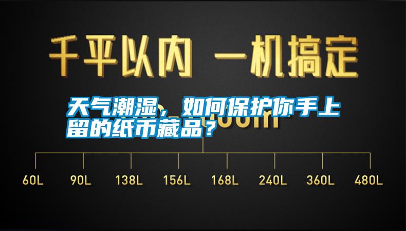 天氣潮濕，如何保護(hù)你手上留的紙幣藏品？
