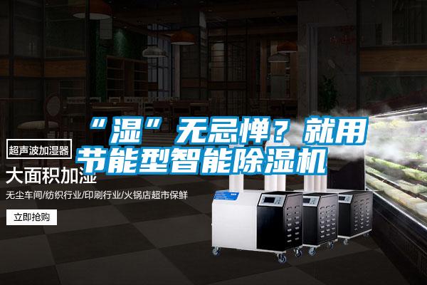 “濕”無忌憚？就用節能型智能除濕機