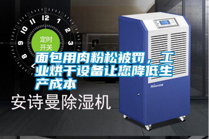 面包用肉粉松被罰,工業(yè)烘干設備讓您降低生產(chǎn)成本