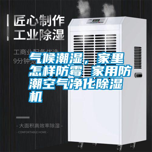 氣候潮濕，家里怎樣防霉 家用防潮空氣凈化除濕機