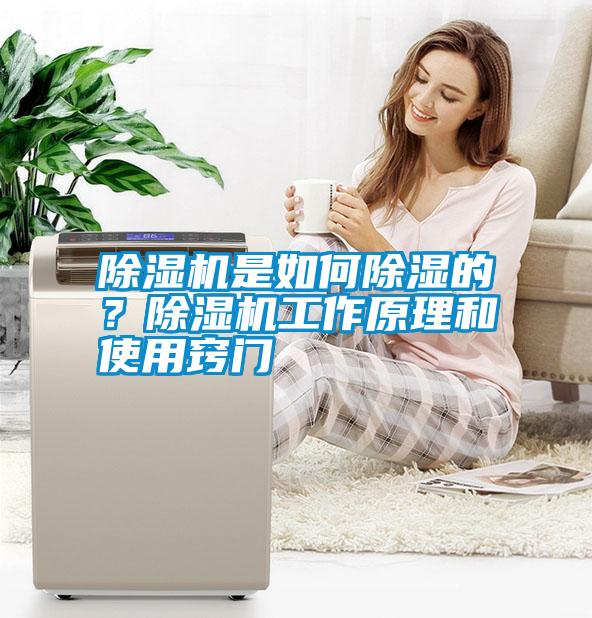 除濕機是如何除濕的？除濕機工作原理和使用竅門