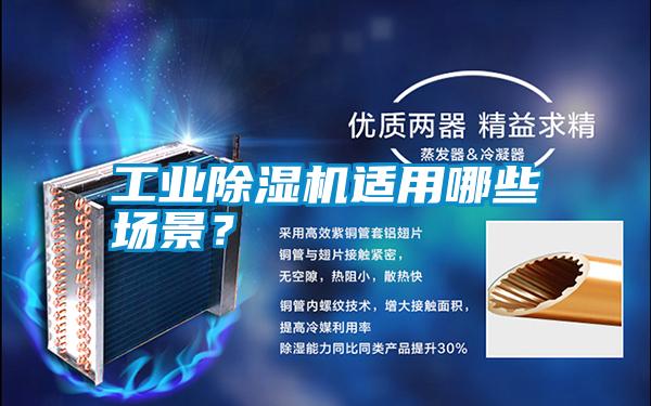 工業除濕機適用哪些場景？
