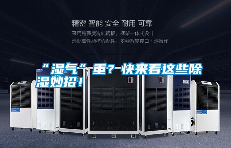 “濕氣”重？快來看這些除濕妙招！