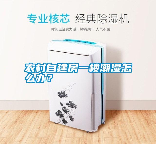 農(nóng)村自建房一樓潮濕怎么辦?
