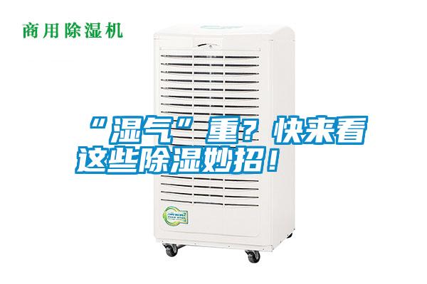 “濕氣”重？快來看這些除濕妙招！