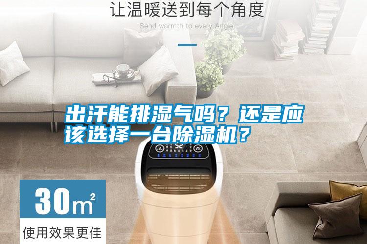 出汗能排濕氣嗎？還是應(yīng)該選擇一臺(tái)除濕機(jī)？
