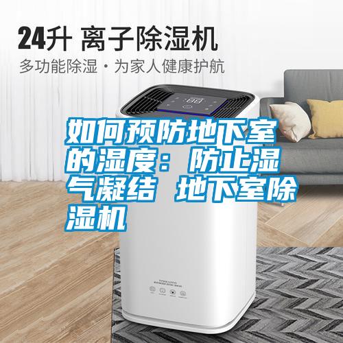 如何預防地下室的濕度:防止濕氣凝結 地下室除濕機