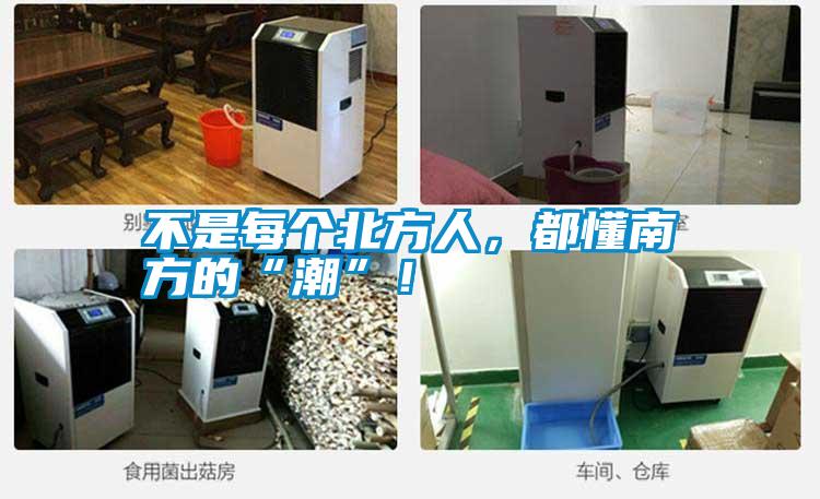 不是每個(gè)北方人,都懂南方的“潮”!