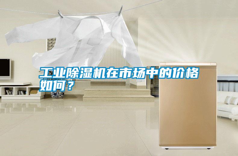 工業除濕機在市場中的價格如何?