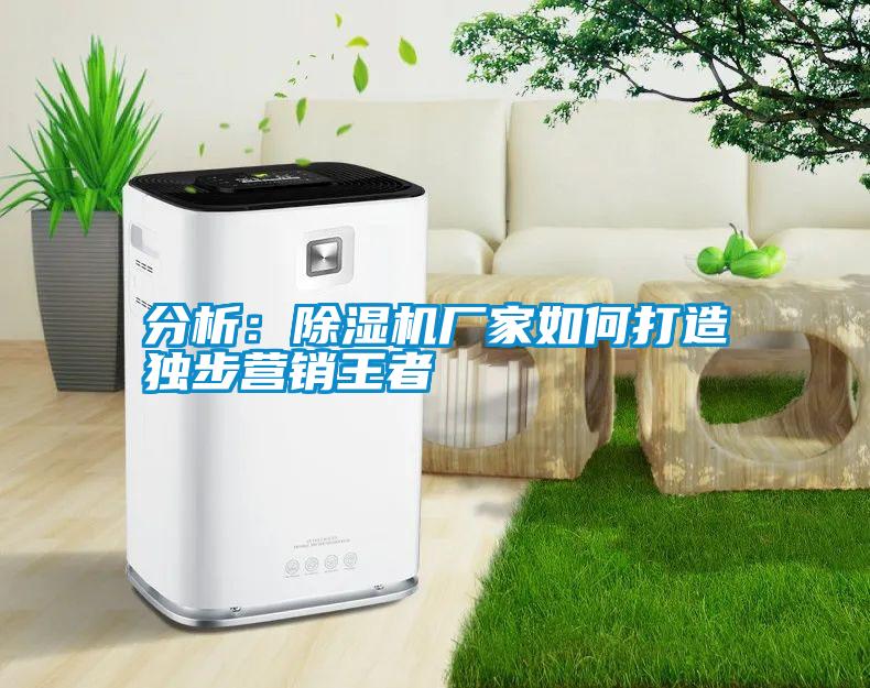 分析:除濕機(jī)廠家如何打造獨(dú)步營(yíng)銷王者