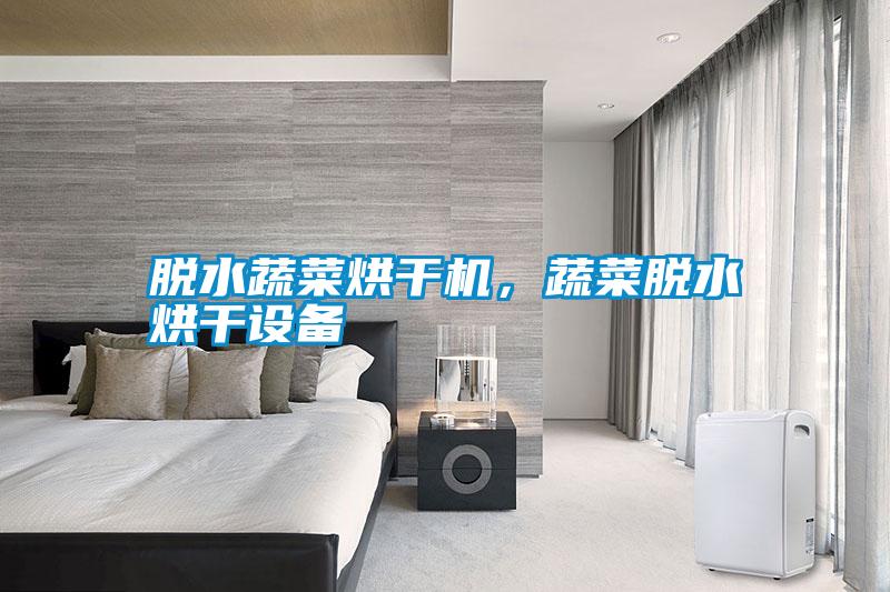 脫水蔬菜烘干機(jī)，蔬菜脫水烘干設(shè)備