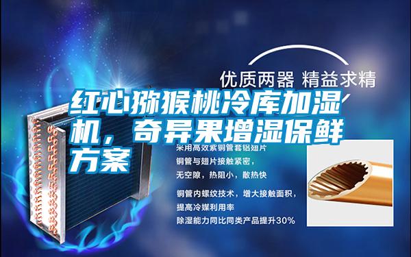 紅心獼猴桃冷庫加濕機，奇異果增濕保鮮方案