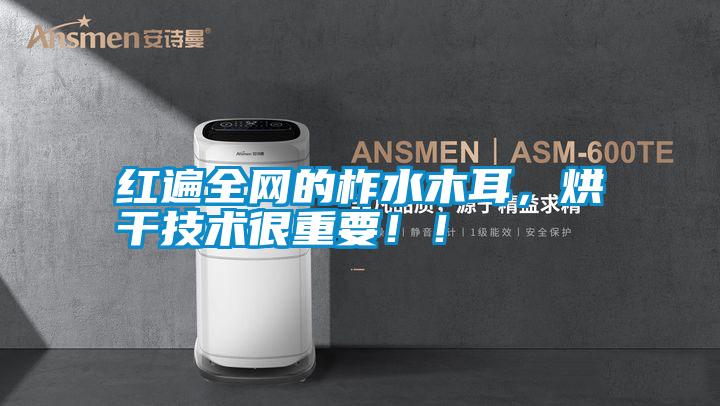 紅遍全網(wǎng)的柞水木耳，烘干技術很重要??！