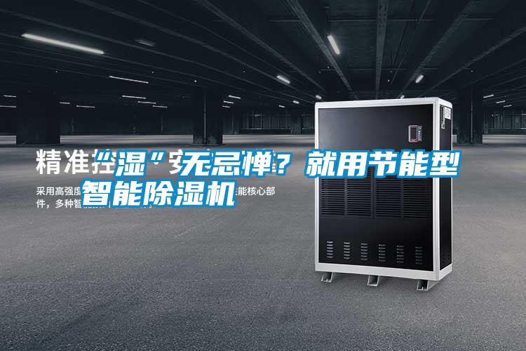 “濕”無忌憚？就用節能型智能除濕機