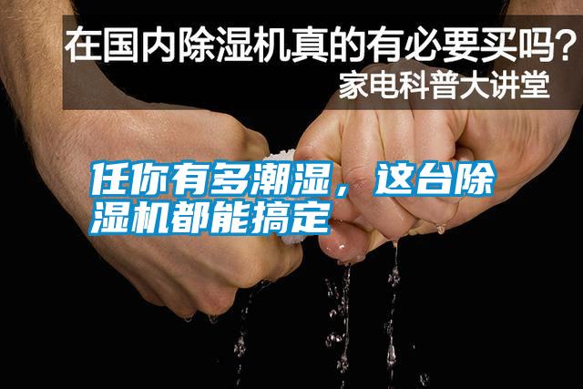 任你有多潮濕,這臺(tái)除濕機(jī)都能搞定