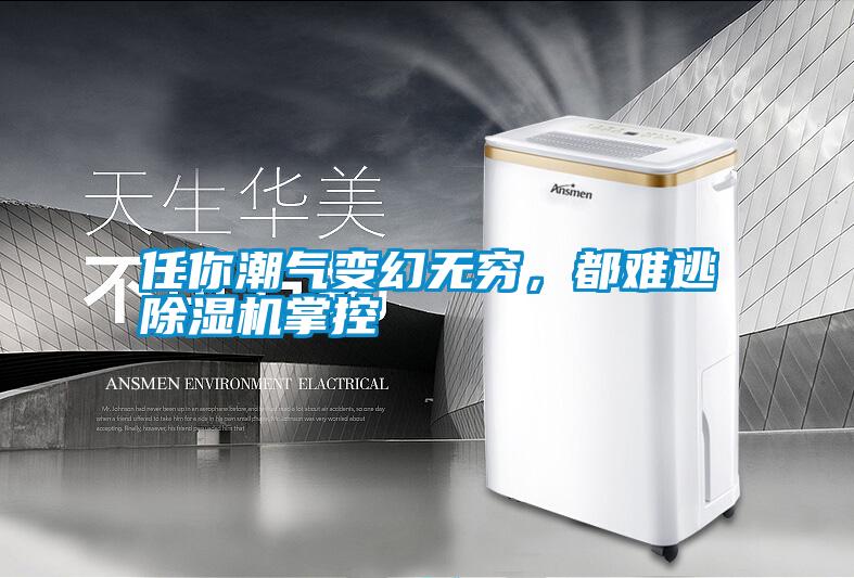 任你潮氣變幻無窮，都難逃除濕機掌控