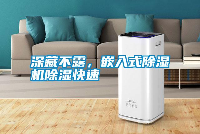 深藏不露,嵌入式除濕機除濕快速