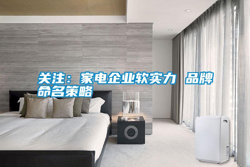 關(guān)注:家電企業(yè)軟實(shí)力 品牌命名策略