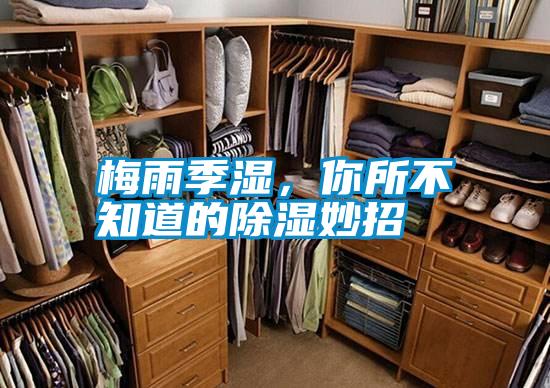 梅雨季濕,你所不知道的除濕妙招