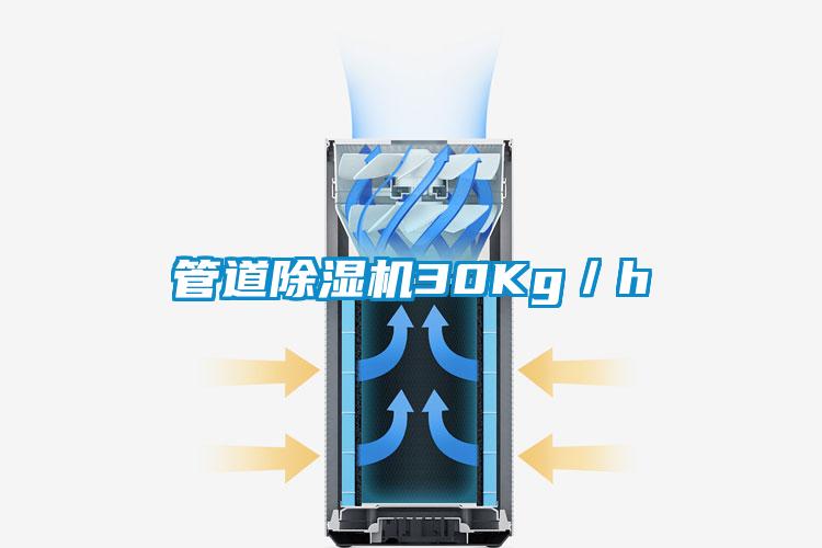 管道除濕機30Kg/h