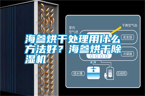 海參烘干處理用什么方法好？海參烘干除濕機
