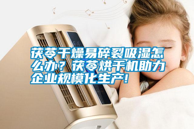茯苓干燥易碎裂吸濕怎么辦？茯苓烘干機助力企業規模化生產!