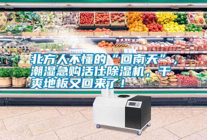 北方人不懂的“回南天”，潮濕急購活仕除濕機(jī)，干爽地板又回來了！