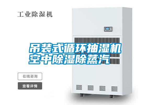 吊裝式循環抽濕機 空中除濕除蒸汽